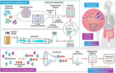 Who Is Metabolizing What? Discovering Novel Biomolecules in the Microbiome and the Organisms Who Make Them